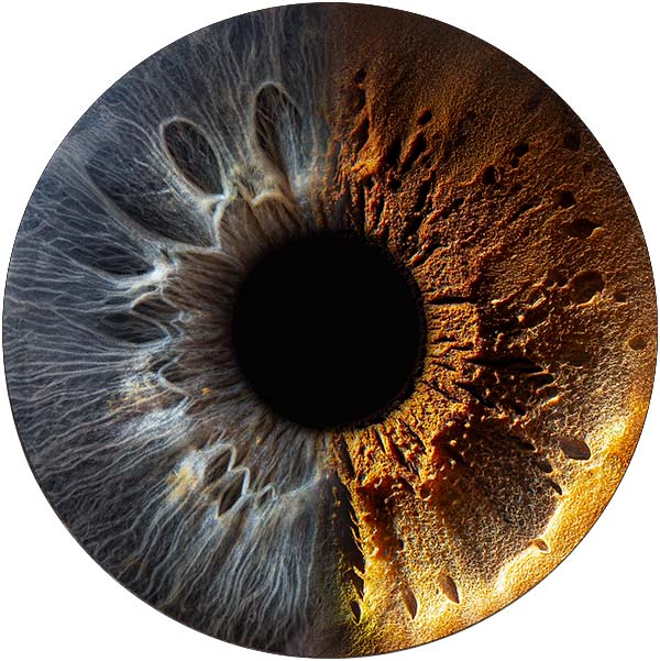 Студия Your-Eyes - фотография радужки глаза