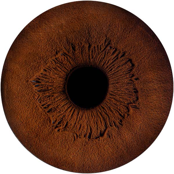 Студия Your-Eyes - фотография радужки глаза