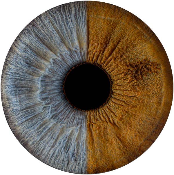 Студия Your-Eyes - фотография радужки глаза
