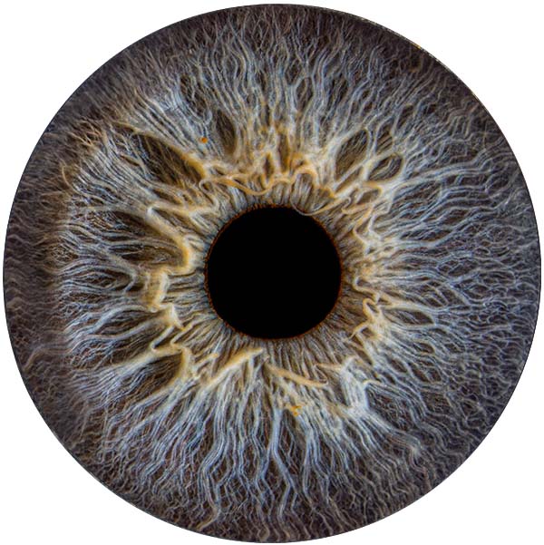 Студия Your-Eyes - фотография радужки глаза