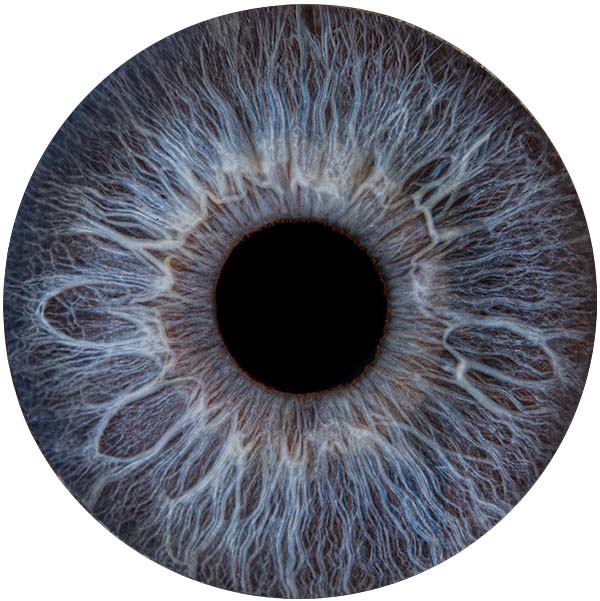 Студия Your-Eyes - фотография радужки глаза