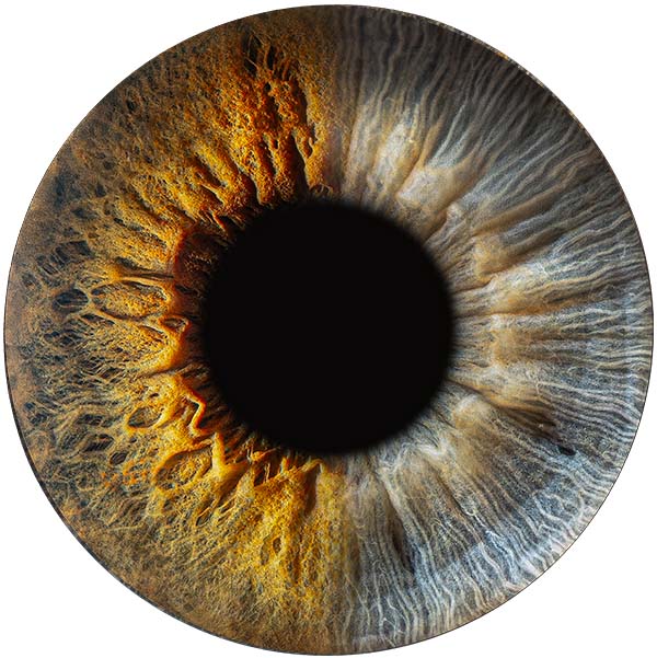 Студия Your-Eyes - фотография радужки глаза