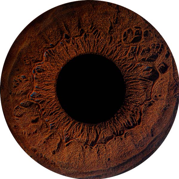 Студия Your-Eyes - фотография радужки глаза