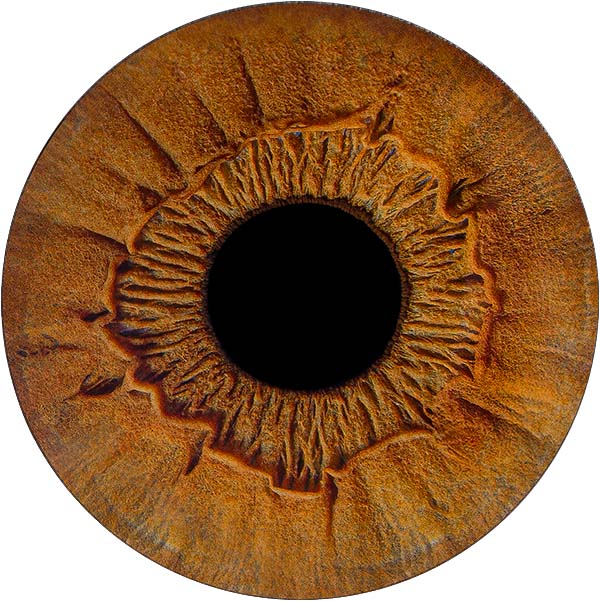 Студия Your-Eyes - фотография радужки глаза