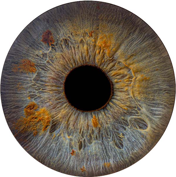 Студия Your-Eyes - фотография радужки глаза