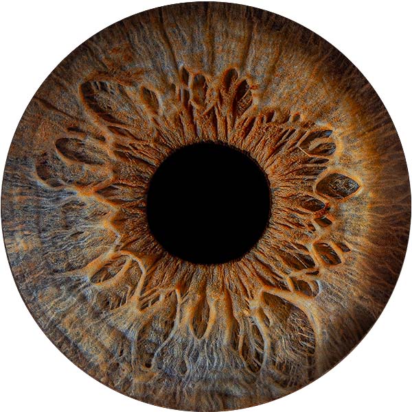 Студия Your-Eyes - фотография радужки глаза