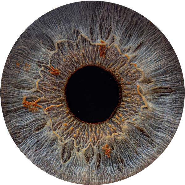 Студия Your-Eyes - фотография радужки глаза